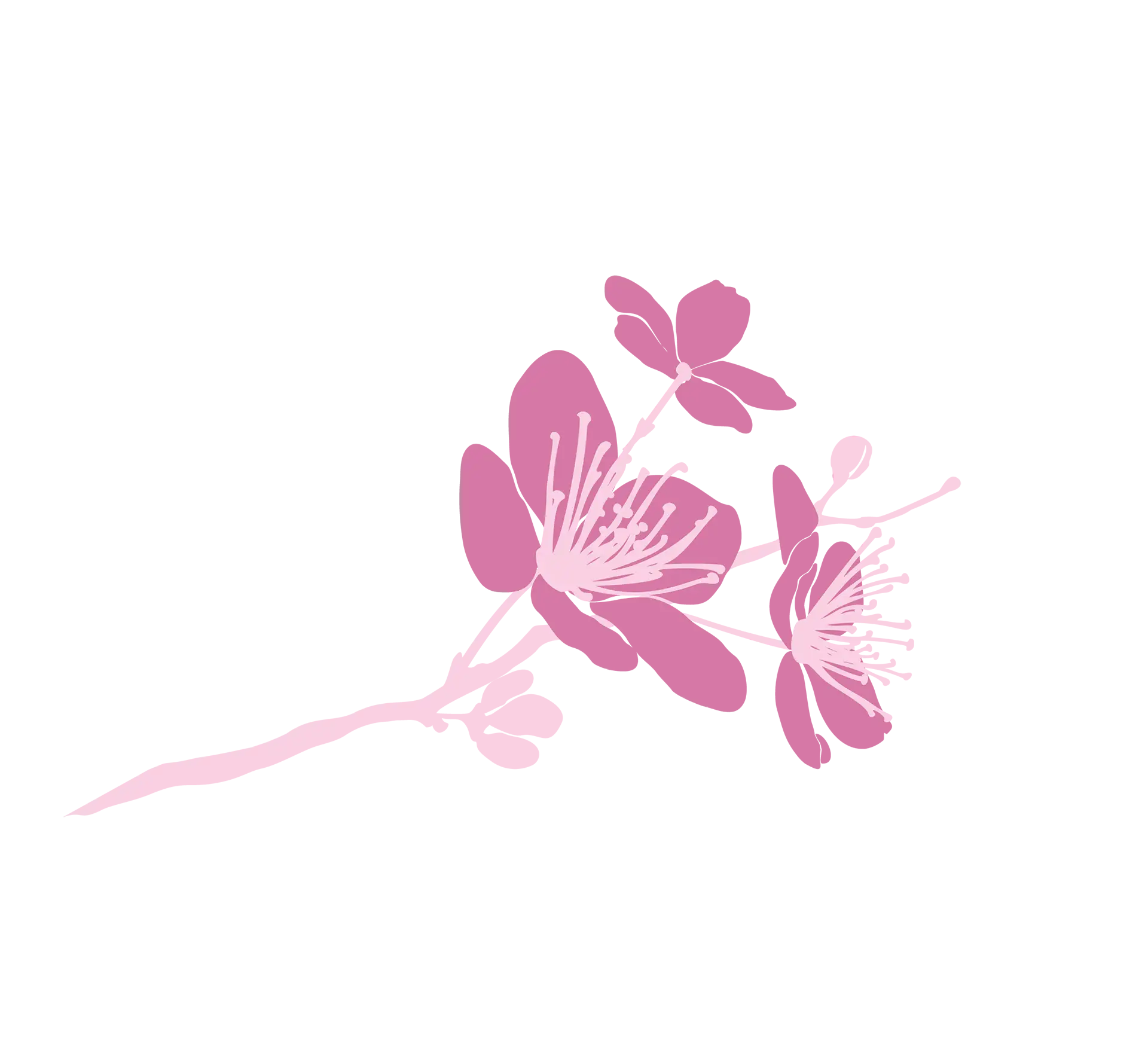 Rosa blomst